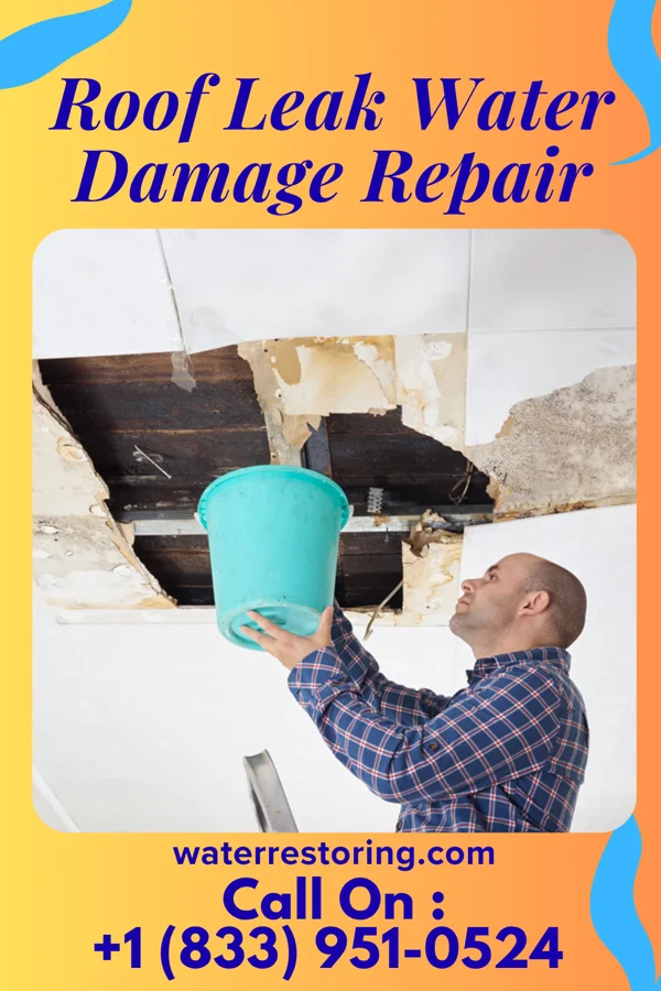 Roof Leak Water Damage Repair in Upper Sandusky, OH