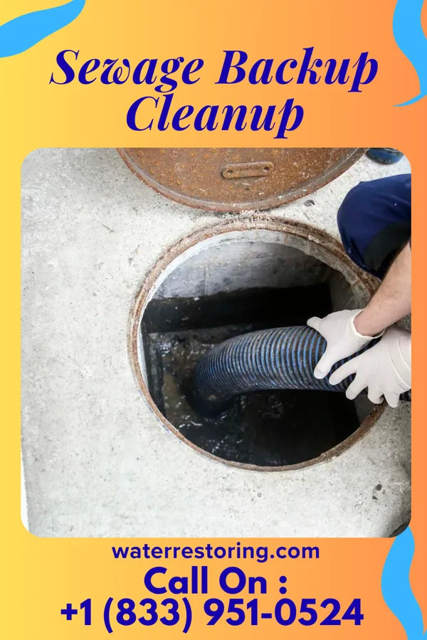 Sewage Backup Cleanup in Upper Sandusky, OH