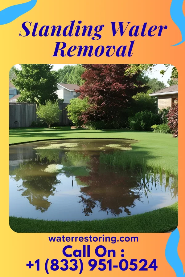 Standing Water Removal in Upper Sandusky, OH